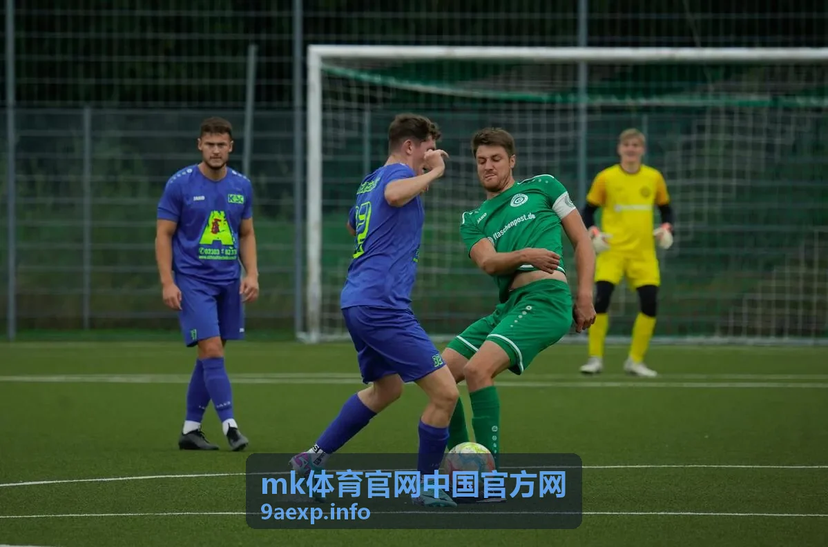mk体育官网中国官方网 夜场赛事直播画面