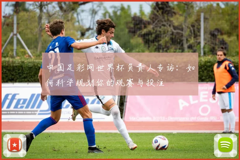 中国足彩网世界杯负责人专访：如何科学规划你的观赛与投注