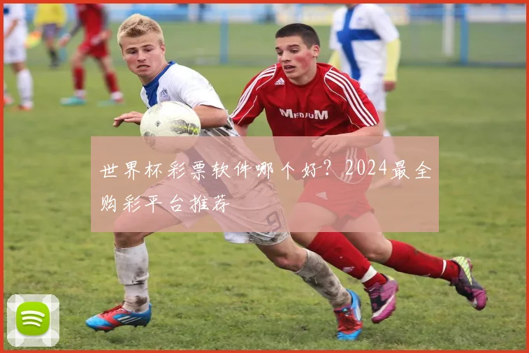 世界杯彩票软件哪个好?2024最全购彩平台推荐