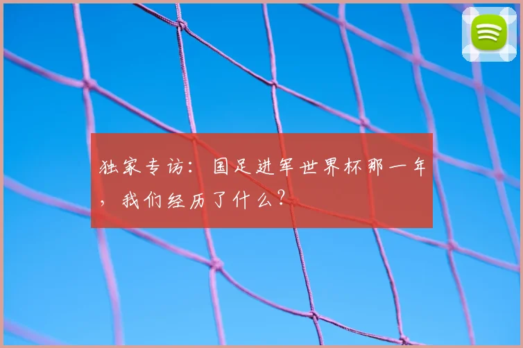 独家专访:国足进军世界杯那一年,我们经历了什么?