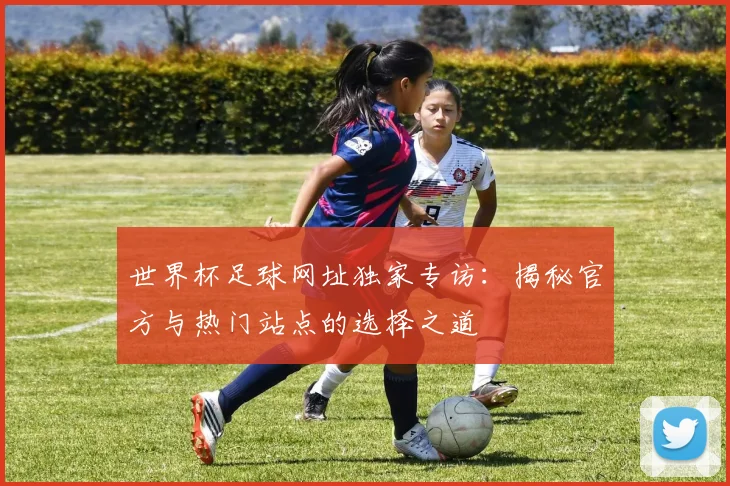世界杯足球网址独家专访：揭秘官方与热门站点的选择之道